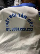 Diệt mối tại hải phòng