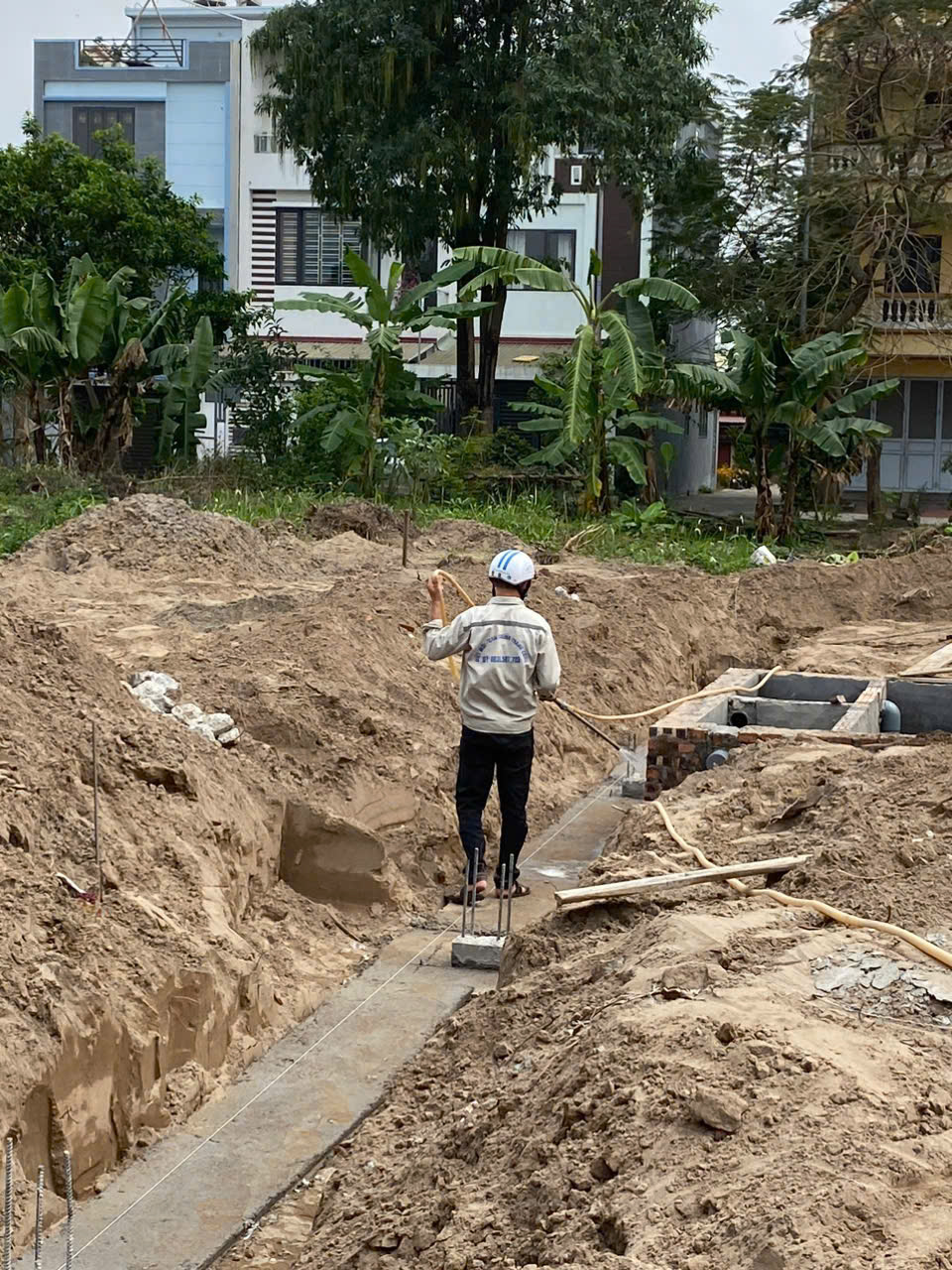 Công tác diệt mối tại hải phòng