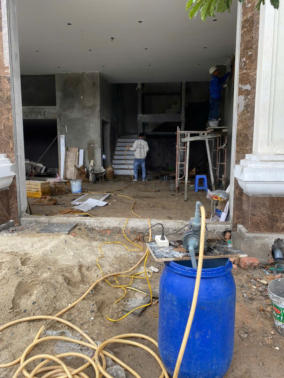 Diệt mối tại hải phòng